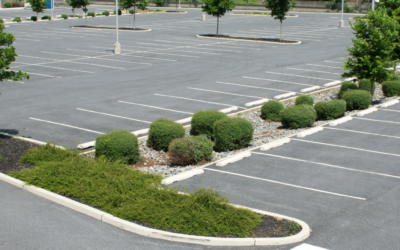 Terreinonderhoud: hoe Dutch Facility Services uw buitenruimte verzorgt